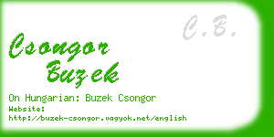 csongor buzek business card